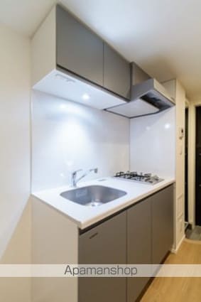 パークヒルズ経堂[1K/22.11m2]のキッチン