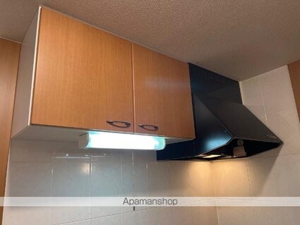 ダイヤモンドヒルズ[1K/31.02m2]のキッチン2