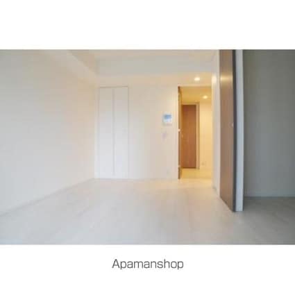 パークアクシス豊洲キャナル[1LDK/46.25m2]のその他内装5