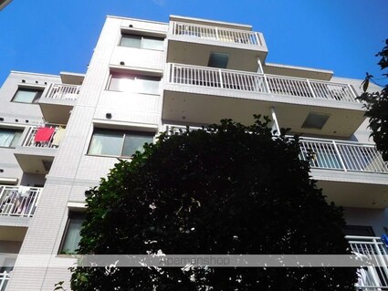 サンコート荻窪[2DK/39.08m2]の外観4