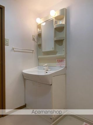 グリーンダイヤ村瀬　Ｂ棟[2DK/48.46m2]の洗面所