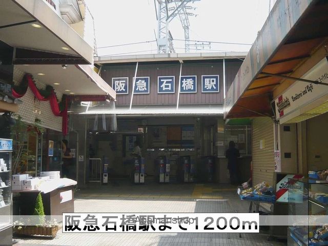 ホメ ラウレアの周辺写真