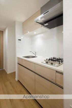 オアーゼ新宿西落合レジデンス[1K/25.25m2]のキッチン