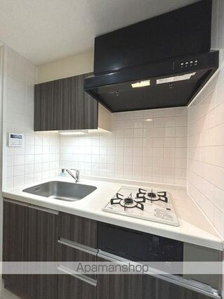 千葉県市川市湊新田１丁目[1K/33.72m2]のキッチン