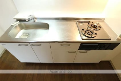 エレガンス三鷹[3DK/52.8m2]のキッチン2