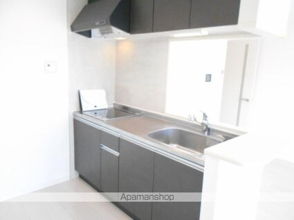 Ｒｉｏ　Ｇｒａｎｄｅ（リオ　グランデ）[1LDK/44.18m2]のキッチン