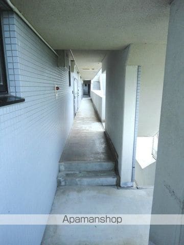 アメニクスのその他写真