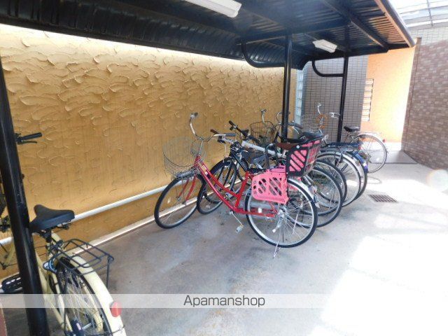 メルヴェーユコマドリのその他写真