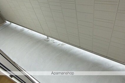 プラムマハール[1LDK/37.79m2]のバルコニー