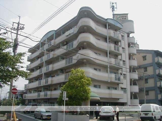 ソリーナ守恒