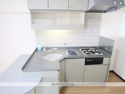 ＤＯＭＵＳ２１[1DK/33.39m2]のキッチン