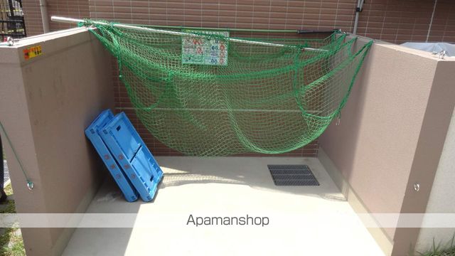 アルファリラのその他写真