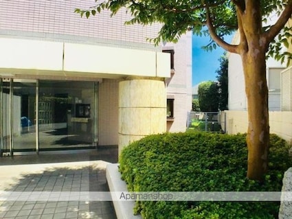 東京都杉並区阿佐谷南３丁目[2DK/39.08m2]のエントランス