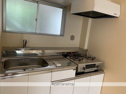 キャッスルハイム[1LDK/41.31m2]のキッチン