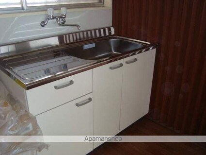 ニューサンシャインホリコシ[2DK/44m2]のキッチン