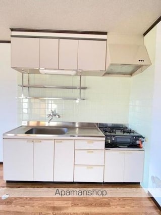 グレースハタオカ[2LDK/53.56m2]のキッチン