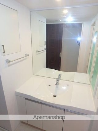 エスティメゾン錦糸町Ⅱ[2LDK/64.91m2]の洗面所