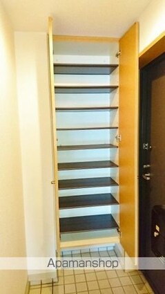 ロアール松川町[1K/41.52m2]の内装5