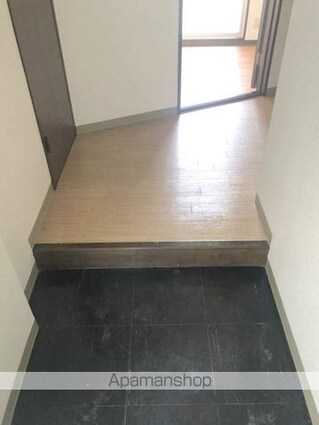 グリーンプラザ谷町弐番館[1K/19.38m2]の玄関