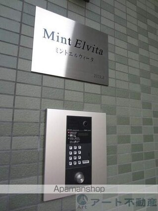 Ｍｉｎｔ　Ｅｌｖｉｔａ[1LDK/37.4m2]の共用部3