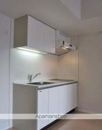 グランハイツ高田馬場[1LDK/47.4m2]のキッチン