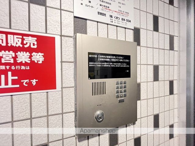 セントポーリアカルーアのその他写真