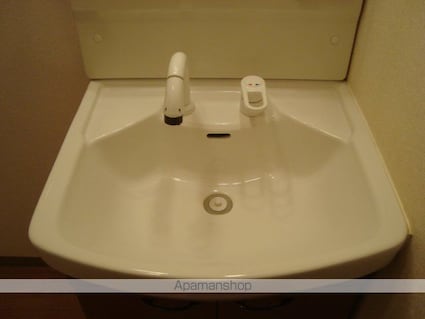 クリアーメゾンＢ・Ｓ[2LDK/54.54m2]の洗面所