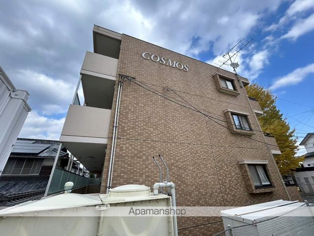 コスモス