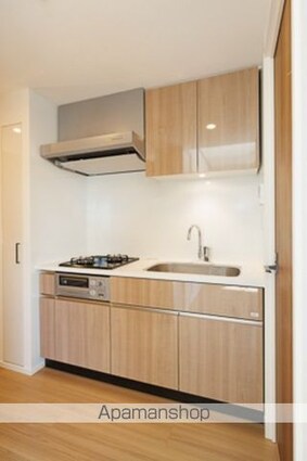 パークアクシス学芸大学レジデンス[1LDK/43.01m2]のキッチン