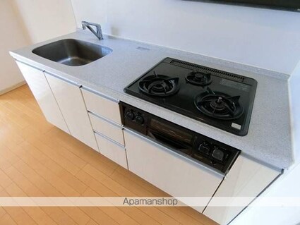 プライムアーバン武蔵小金井Ⅱ[1DK/37.03m2]のキッチン