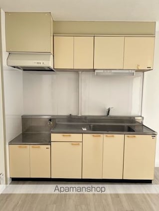 パソナⅤ・Ⅵ[2LDK/51.3m2]のキッチン