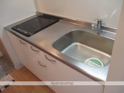 セントパレス池袋[1K/20.7m2]のキッチン3