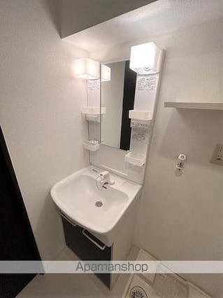 ＬｉｖｅＦｌａｔ菊川[1K/25.37m2]の洗面所