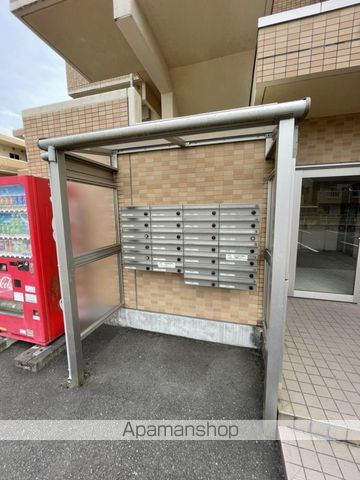 COLLINEのその他写真
