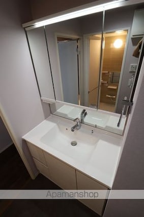 Ｐｈｏｅｎｉｘ[1K/37.76m2]の洗面所