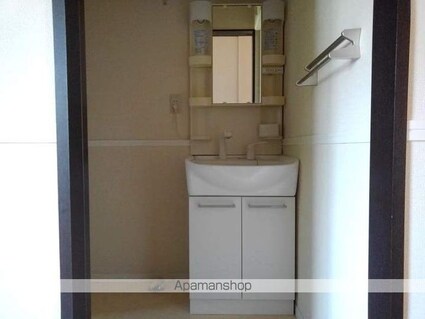 ＭＡＳＴＴＯＷＮ島内[2LDK/61.6m2]の洗面所