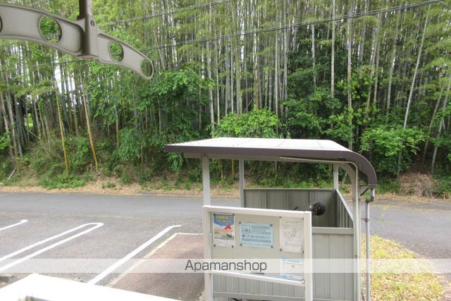 ブルー コスモのその他写真