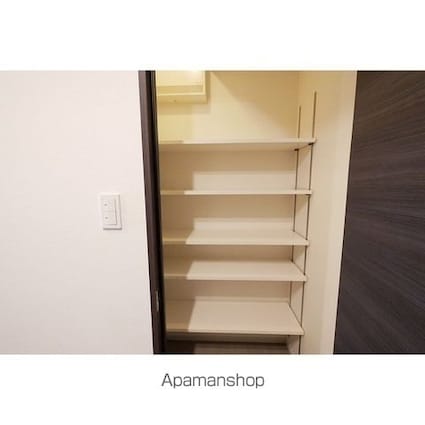 コンフォリア新宿イーストサイドタワー[1LDK/55.47m2]の収納