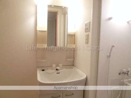 フォーシーズン南草津[1K/26.6m2]の洗面所