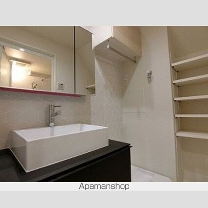 風香東新宿[1K/30.49m2]の洗面所