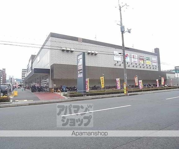 clochette arbreの周辺写真