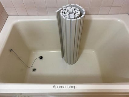 アルファガーデン番町[3LDK/75.48m2]の内装3