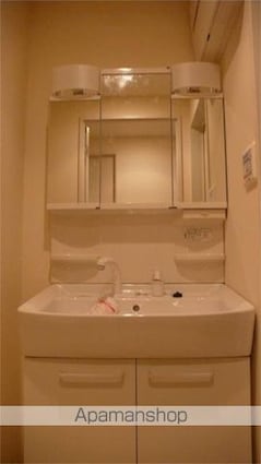 サニーコート向島[1LDK/44.62m2]の洗面所