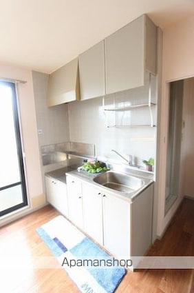 グリーンヒルズ太田　Ａ・Ｂ・Ｃ棟[2LDK/52.84m2]のキッチン