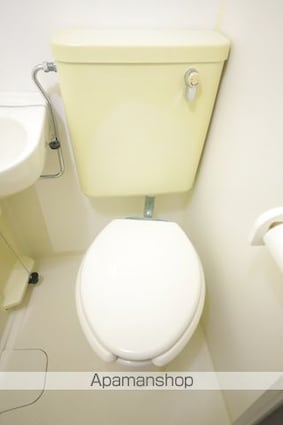 グリーンシャトル堀口[1R/17.41m2]のトイレ