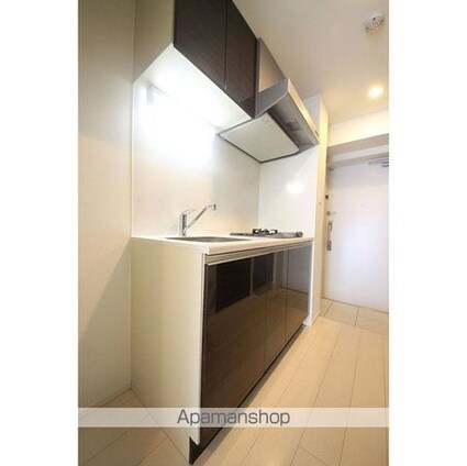 ＡＰＰＬＥ　ＲＥＳＩＤＥＮＣＥ水道橋[1K/25.08m2]のその他内装4