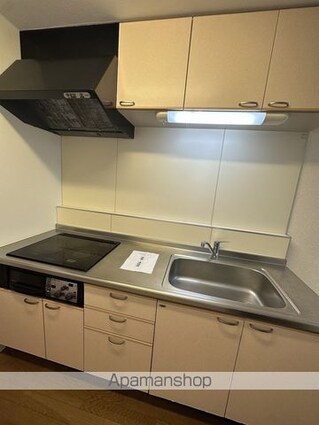 ラフィーネ丸武[2LDK/58.3m2]の内装2