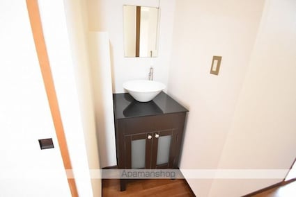 シティハイムグリーンユイＢ[3K/42m2]の洗面所