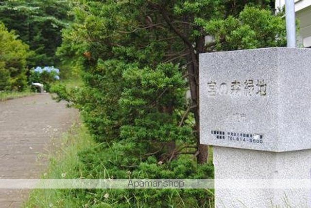 パレット宮の森の周辺写真