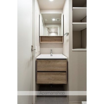 デュオフラッツ日本橋水天宮[1DK/25.18m2]の洗面所